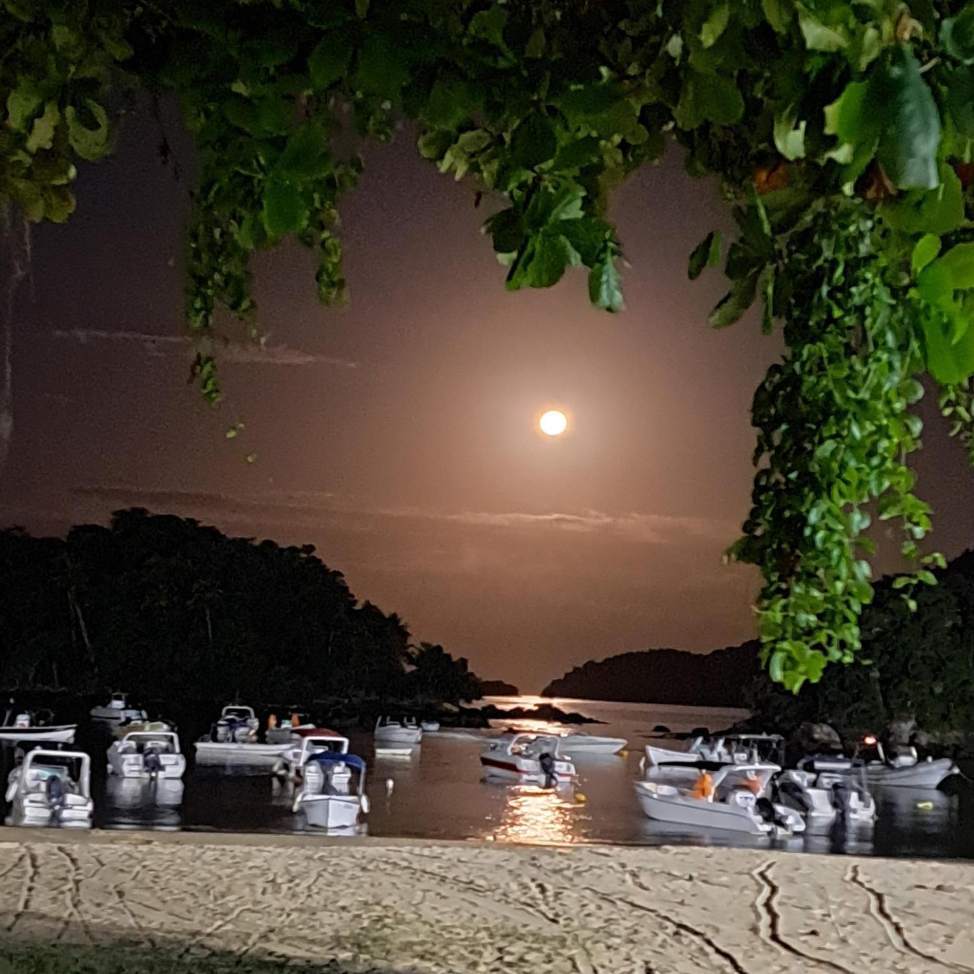 Recanto Das Flores Lofts - Ilha Grande Rj Zewnętrze zdjęcie